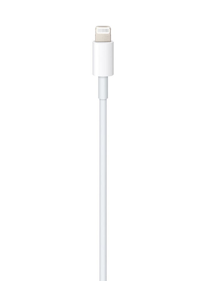 Refurbished Apple USB-C To Lightning 3.3' (1M) Cable (MM0A3AM/A) White in UAE